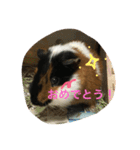 もるさん日記②（個別スタンプ：22）