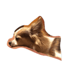 愛犬チワワのしずくの日々（個別スタンプ：9）