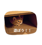 もんじゃとらきち（個別スタンプ：2）