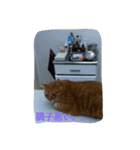 もんじゃとらきち（個別スタンプ：6）