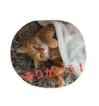 もんじゃとらきち（個別スタンプ：8）