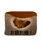 もんじゃとらきち（個別スタンプ：9）