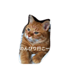 もんじゃとらきち（個別スタンプ：15）