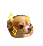 オルちゃんのスタンプ（個別スタンプ：1）