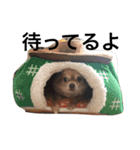 オルちゃんのスタンプ（個別スタンプ：2）