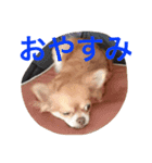 オルちゃんのスタンプ（個別スタンプ：5）