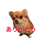 オルちゃんのスタンプ（個別スタンプ：9）