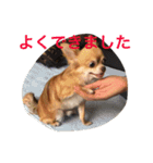 オルちゃんのスタンプ（個別スタンプ：13）