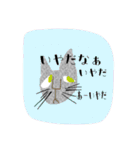 many many many cat（個別スタンプ：12）