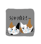 many many many cat（個別スタンプ：16）