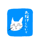 many many many cat（個別スタンプ：25）