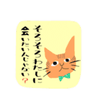 many many many cat（個別スタンプ：27）