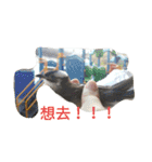 Every day, all right（個別スタンプ：10）