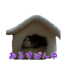 YUI ＆ MOMIJI（個別スタンプ：4）
