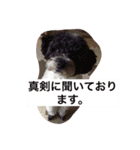 toshino family（個別スタンプ：15）