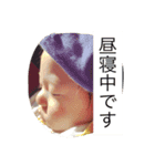 toshino family（個別スタンプ：16）