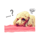 まぶとさくら（個別スタンプ：4）