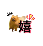 にこにこポメラニアン（個別スタンプ：13）