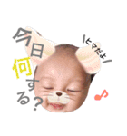 空羽亜くんスタンプ（個別スタンプ：11）