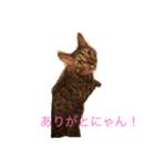 レオンくんスタンプ（個別スタンプ：8）