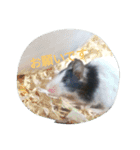Tier-可愛い生き物たち-（個別スタンプ：7）