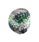 Tier-可愛い生き物たち-（個別スタンプ：9）