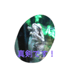 Tier-可愛い生き物たち-（個別スタンプ：15）