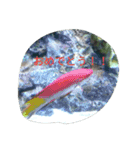 Tier-可愛い生き物たち-（個別スタンプ：16）