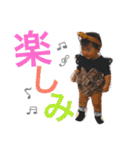 ひまりこちゃん♡（個別スタンプ：34）