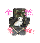 自由犬。2（個別スタンプ：6）