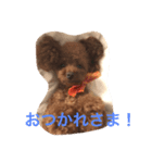みんなのピアノちゃん2（個別スタンプ：5）