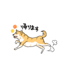 debu shiba（個別スタンプ：3）