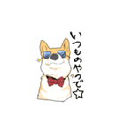 debu shiba（個別スタンプ：6）