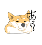 debu shiba（個別スタンプ：8）