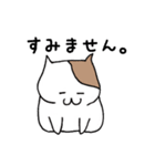 のんびりねこさんの日常（個別スタンプ：40）