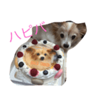 我が家の天使たち（個別スタンプ：3）
