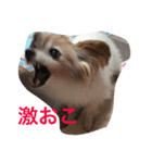 我が家の天使たち（個別スタンプ：8）