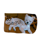 ららさん。（個別スタンプ：6）
