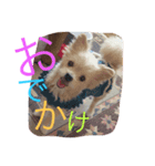 ららさん。（個別スタンプ：7）