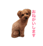 プティのスタンプ（個別スタンプ：2）
