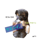 yukichi.3.30（個別スタンプ：4）