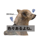 yukichi.3.30（個別スタンプ：6）