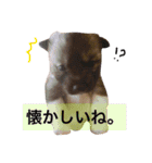 yukichi.3.30（個別スタンプ：9）