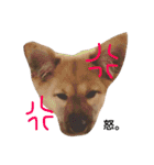 yukichi.3.30（個別スタンプ：12）