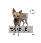 yukichi.3.30（個別スタンプ：15）