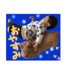 あおくん♡もこちゃん（個別スタンプ：33）