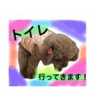 あおくん♡もこちゃん（個別スタンプ：36）