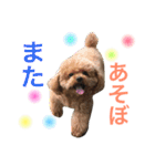 あおくん♡もこちゃん（個別スタンプ：40）