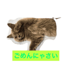 フィガロくん（個別スタンプ：4）