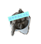 フィガロくん（個別スタンプ：5）